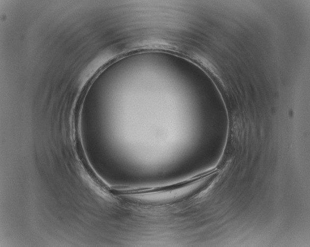 X0000065981082200603101416