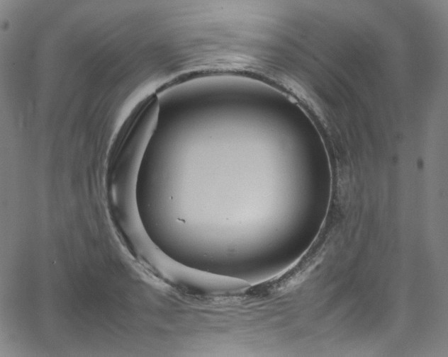 X0000065981085200603101416