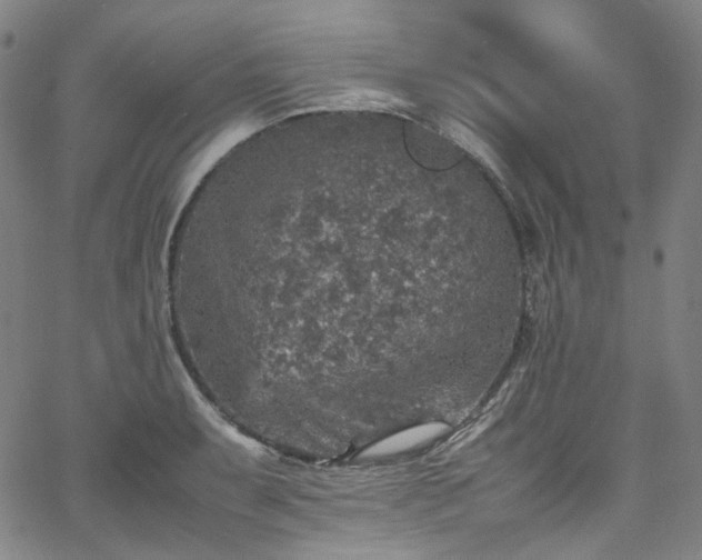 X0000065981087200603101416