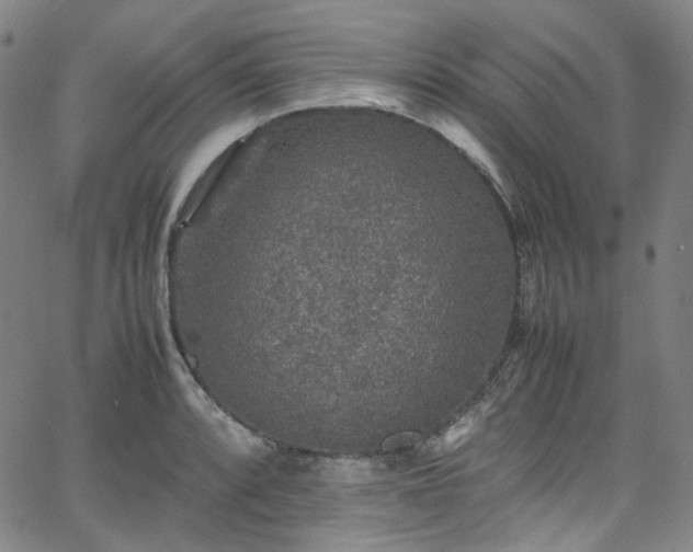 X0000065981088200603101416