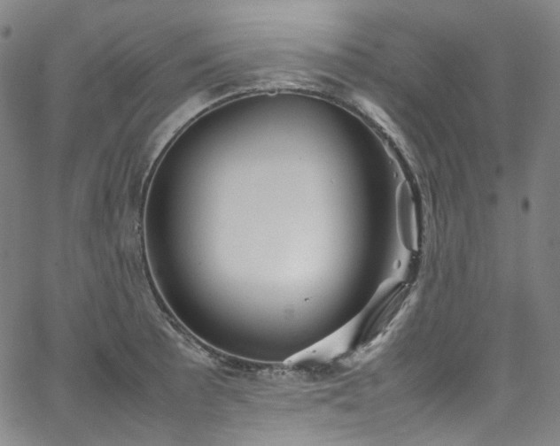 X0000065981089200603101416