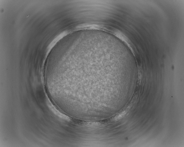 X0000065981090200603101416