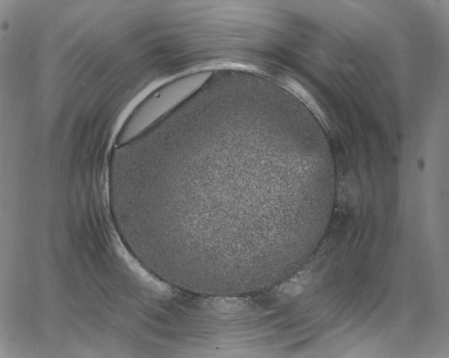 X0000065981092200603101416