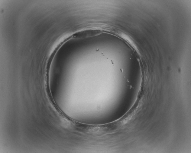 X0000065981093200603101416