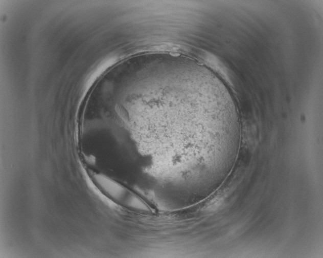 X0000065981095200603101416