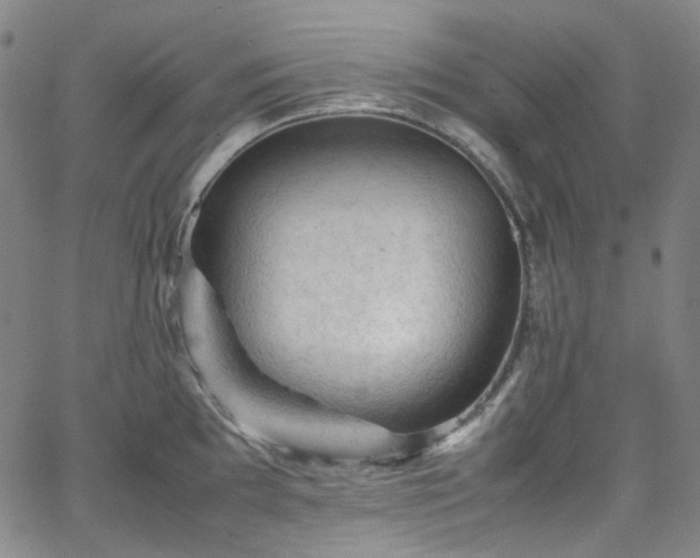 X0000065981097200603101416