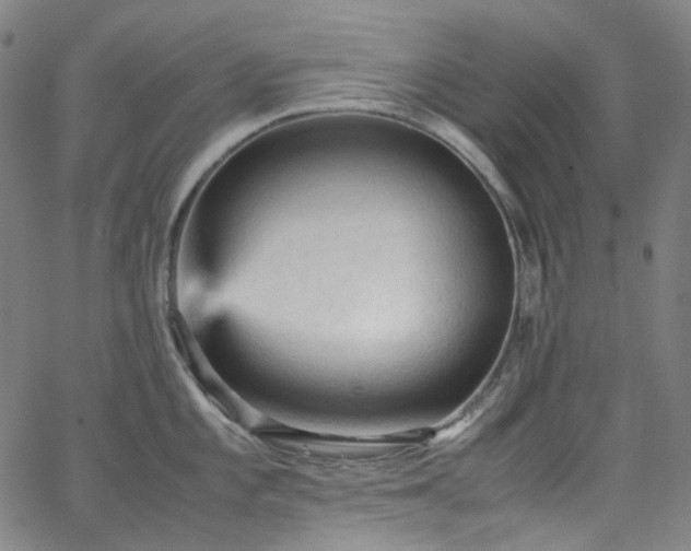 X0000065981101200603101416