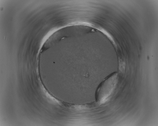 X0000065981102200603101416