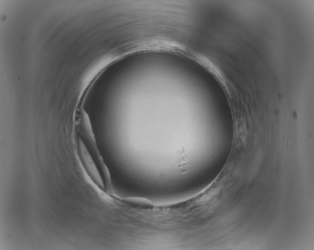 X0000065981103200603101416