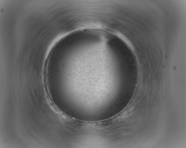 X0000065981104200603101416