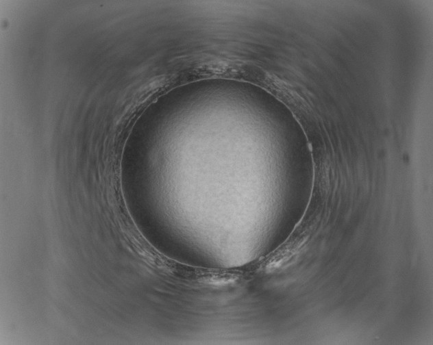 X0000065981105200603101415