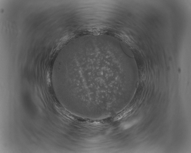 X0000065981106200603101415