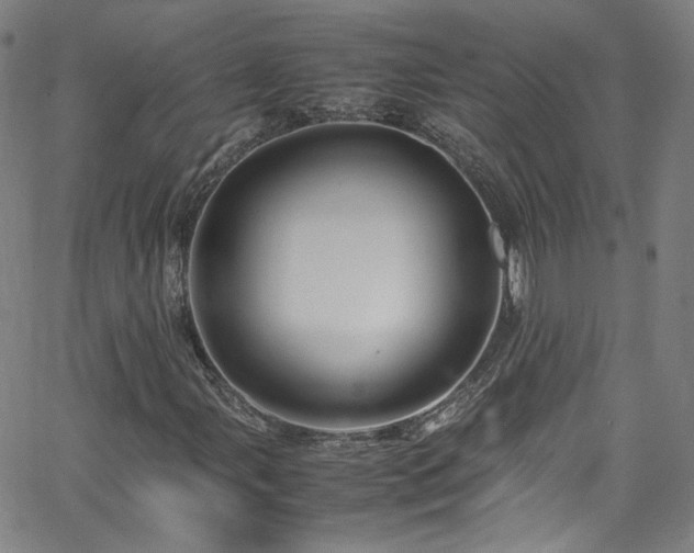 X0000065981107200603101415