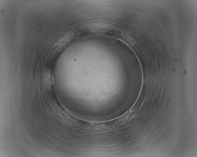 X0000065981108200603101415