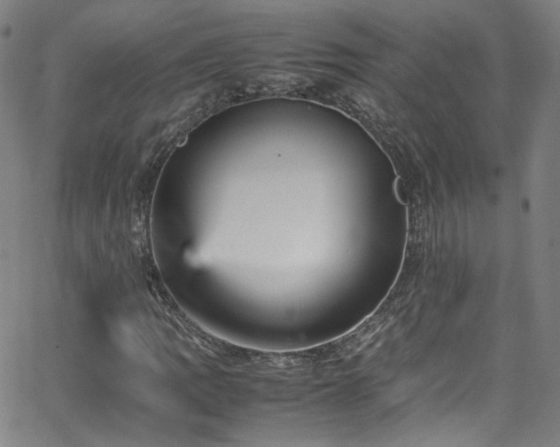 X0000065981109200603101415