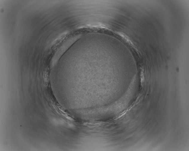 X0000065981110200603101415