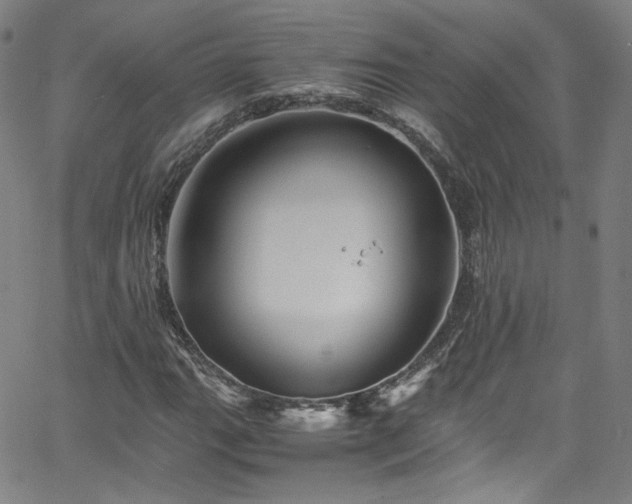 X0000065981111200603101415