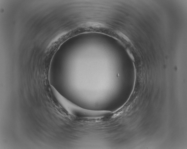 X0000065981112200603101415