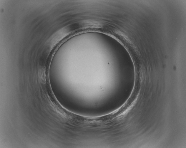 X0000065981113200603101415