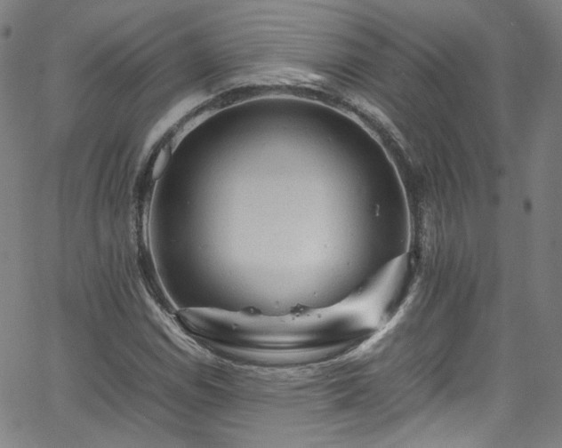 X0000065981114200603101415