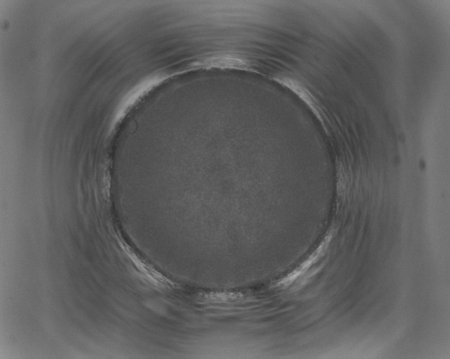 X0000065981115200603101415