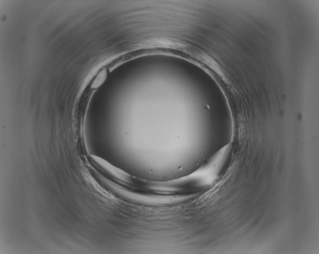 X0000065981116200603101415