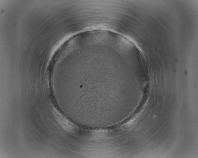 X0000065981118200603101415