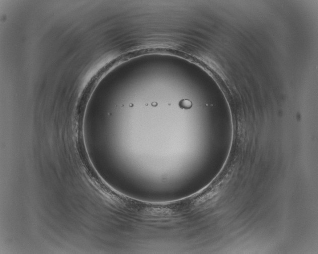 X0000065981119200603101415