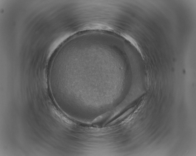 X0000065981120200603101415