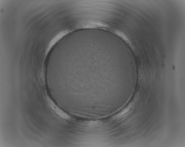 X0000065981122200603101415