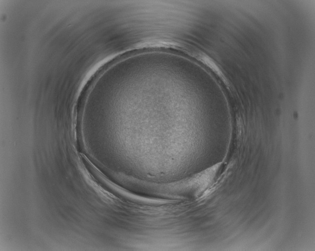 X0000065981124200603101415