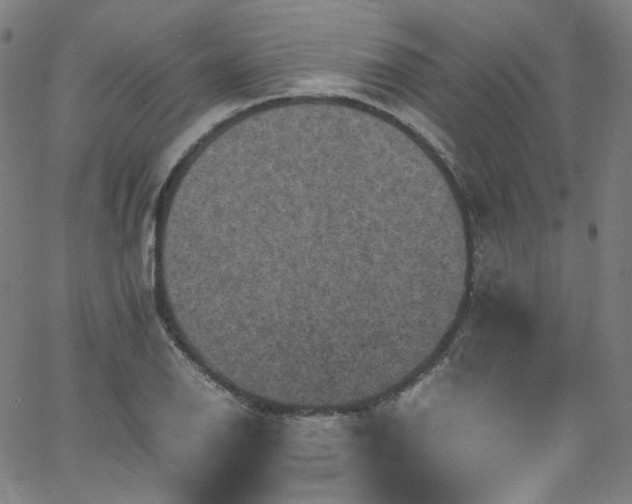 X0000065981126200603101415