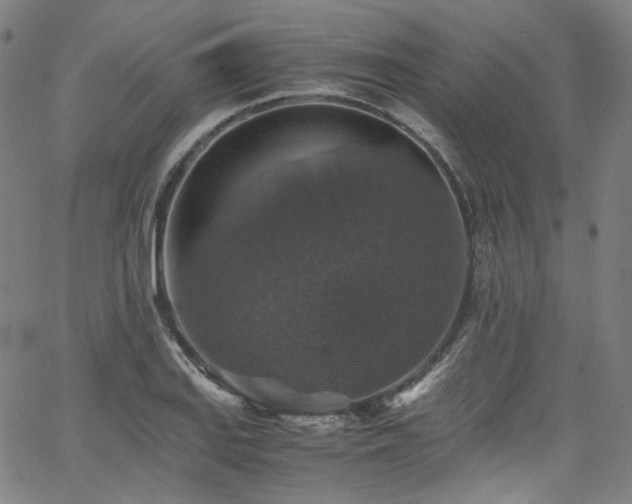 X0000065981127200603101415