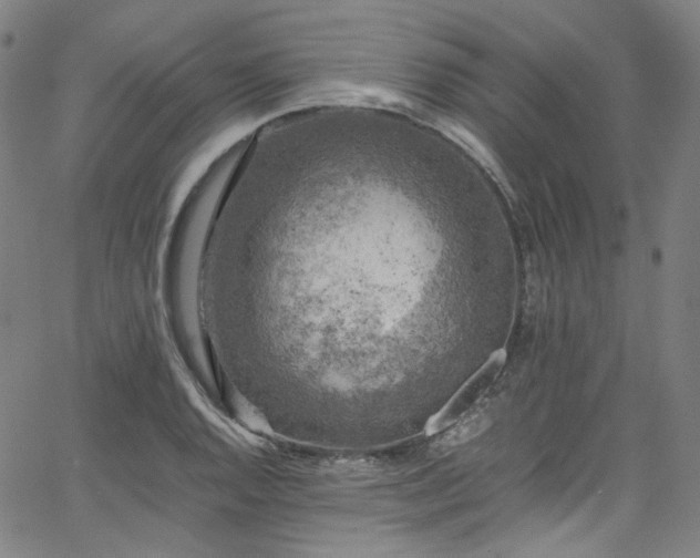 X0000065981128200603101415