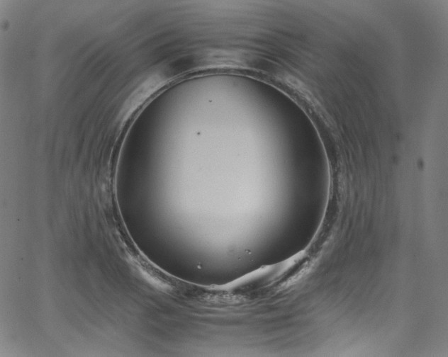 X0000065981129200603101415