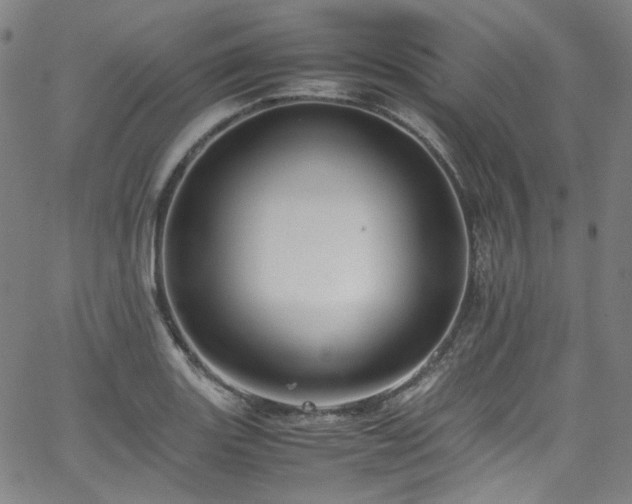 X0000065981131200603101415