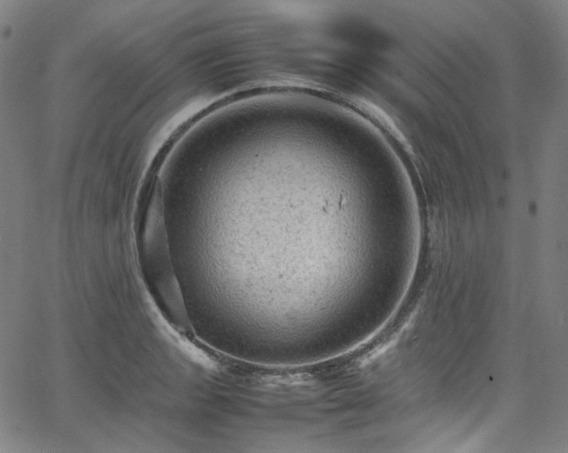 X0000065981133200603101416