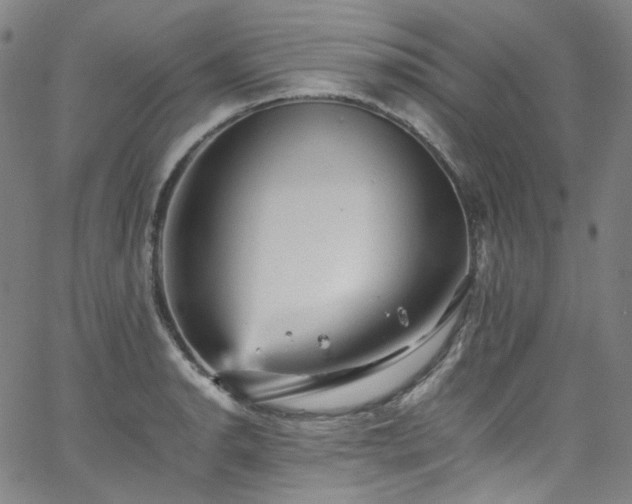 X0000065981134200603101416