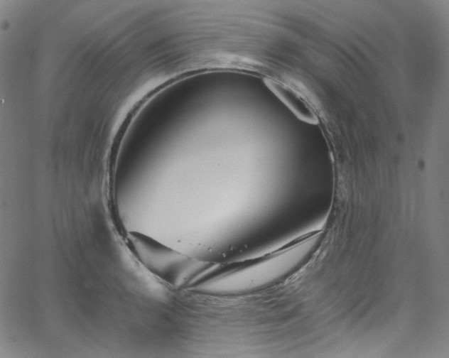 X0000065981136200603101416