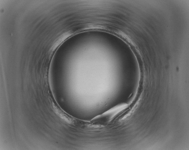 X0000065981137200603101416