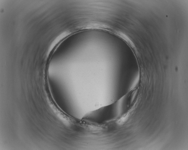 X0000065981138200603101416