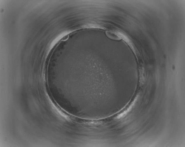 X0000065981141200603101416