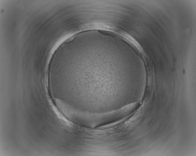 X0000065981144200603101416