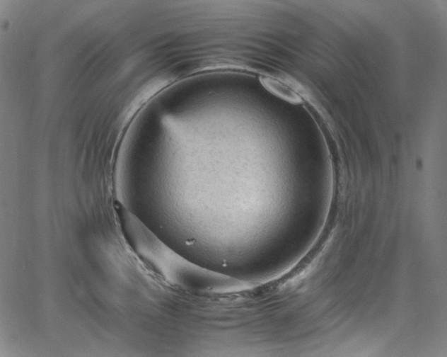 X0000065981145200603101416