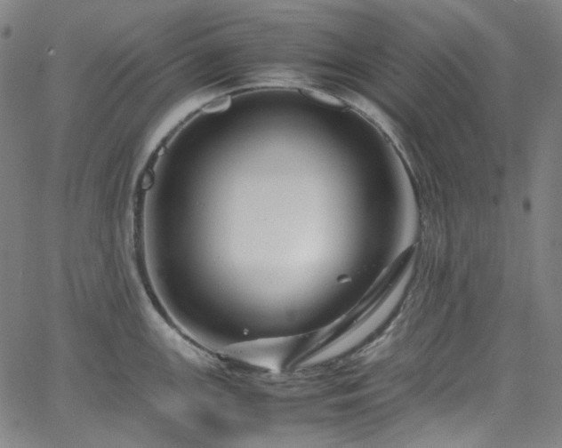 X0000065981147200603101416