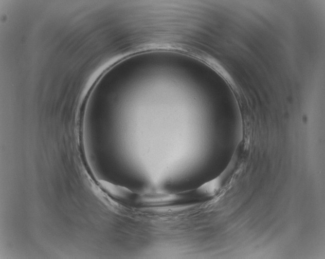 X0000065981148200603101416