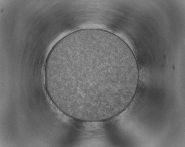 X0000065981150200603101416