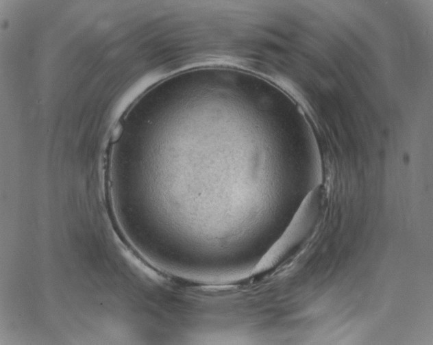 X0000065981151200603101416