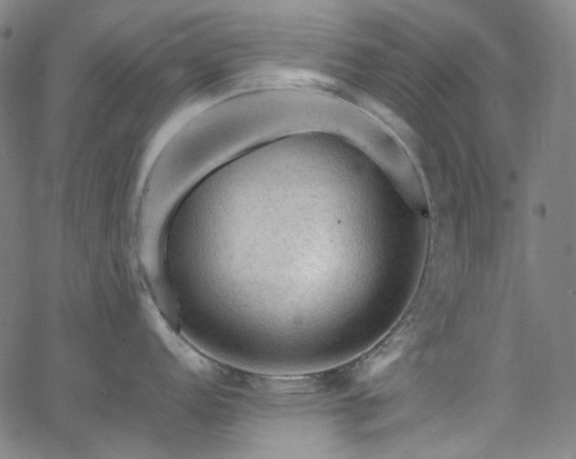 X0000065981152200603101416