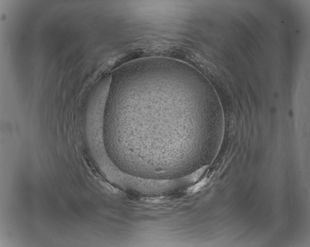 X0000065981153200603101415